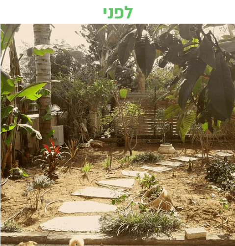 עיצוב שביל בגינה - לפני